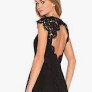 NEW 💥Kate Spade ♠️ rose lace fit and flare dress